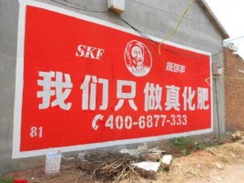 苍溪刷墙广告”蕴含了时代命题