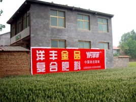 苍溪如何让墙体广告展现最大化效果
