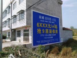 苍溪墙体广告质量分析