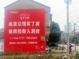 苍溪墙体广告在乡镇、农村市场的媒体优势