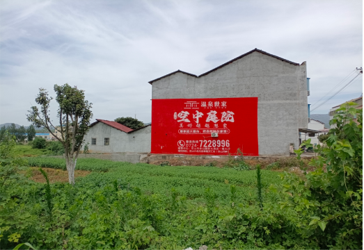 苍溪做墙体广告的意义