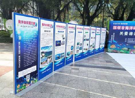 苍溪KT板的种类和知识。